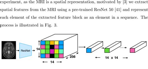 Feature Extraction From Mri Data We Utilise A Resnet Cnn