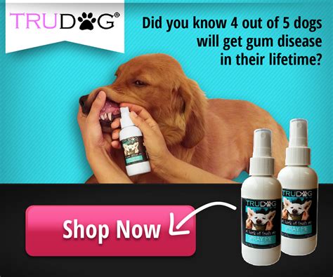 Trudog Spray Me Dog Dental Spray - Property & Real Estate for Rent