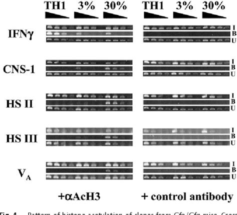 Figure From In Th Cells The Il Gene Has A Series Of Accessibility