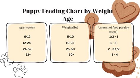 The Ultimate Puppy Feeding Chart by Weight Age