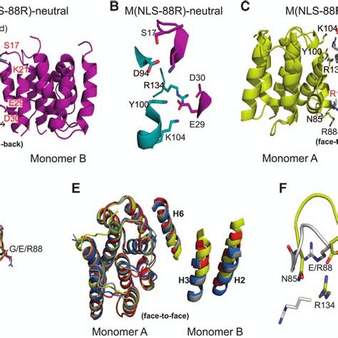 The In Vitro Replication Of Matrix Protein M Triple Mutants After