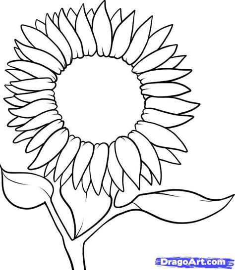 Sunflower Outline - ClipArt Best