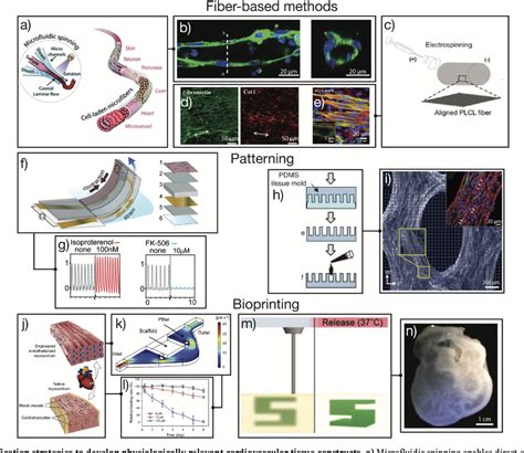 Figure 3 From Biomimetic Cardiovascular Platforms For In Vitro Disease