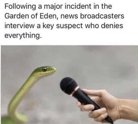 Slippery Slimy Snake Memes Not For The Fainthearted Мемы Вера