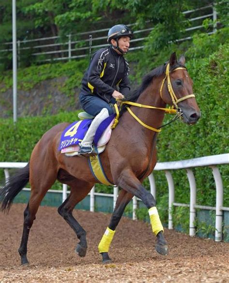 【宝塚記念】レイデオロは2枠2番、キセキは1枠1番競馬・レースデイリースポーツ Online