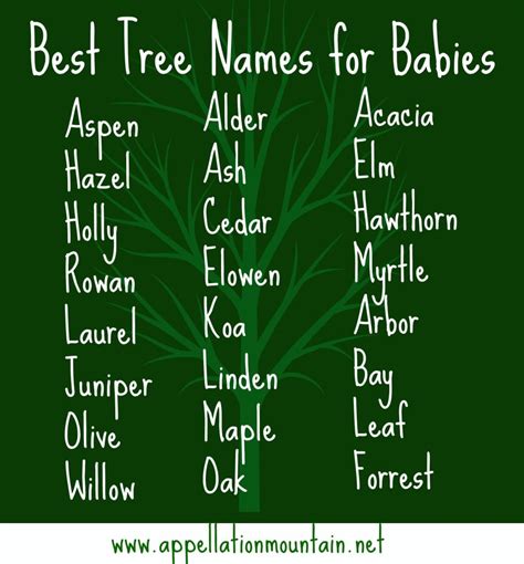 Arbor, Rowan, Acacia: Best Tree Names for Babies - Appellation Mountain