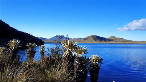 Naturaleza senderismo y asombrosos paisajes en la Reserva Ecológica