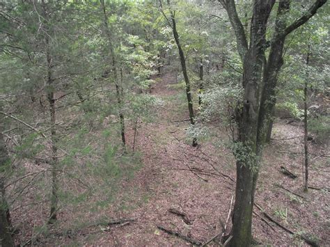 I'm an Arkansas Hunter's Wife, Only In Arkansas