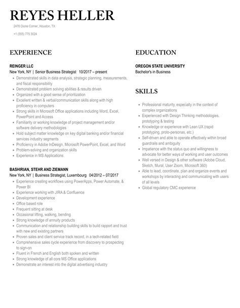 Business Strategist Resume Samples Velvet Jobs