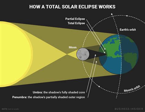 Diagram Of The Stages Of A Total Solar Eclipse Viewing The