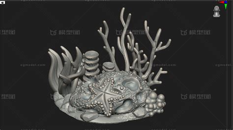 海底礁石，海底岩石，珊瑚虫，海草，珊瑚礁，海葵，海洋生物，风模型 场景部件模型库 Zbrushztlzbp模型下载 Cg模型网