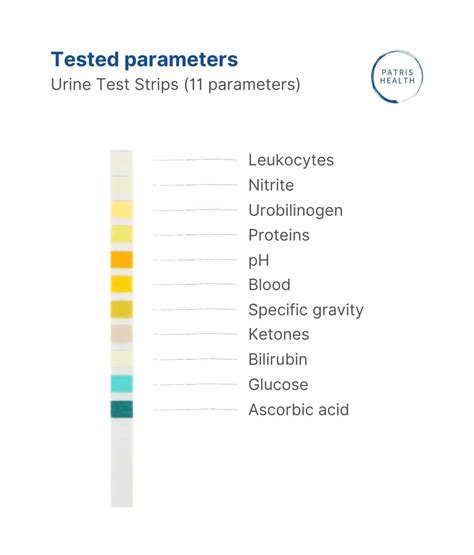 Urine Reagent Strips Chart