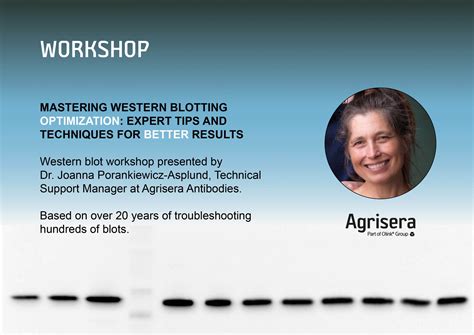 Webinar Mastering Western Blotting Optimization Expert Tips And