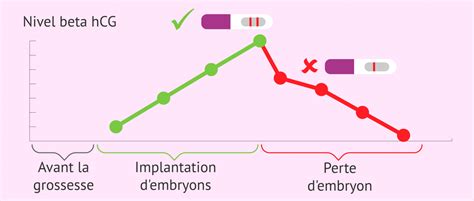 Grossesse biochimique diagnostic causes et symptômes