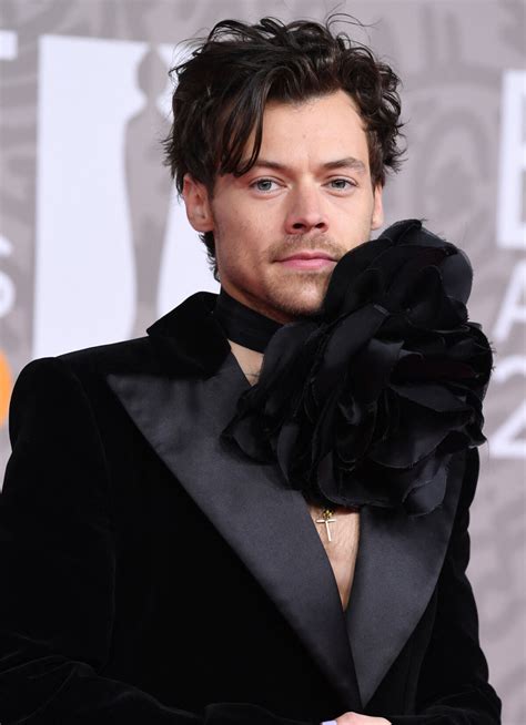 Photo En plein tournée mondiale le chanteur Harry Styles a été