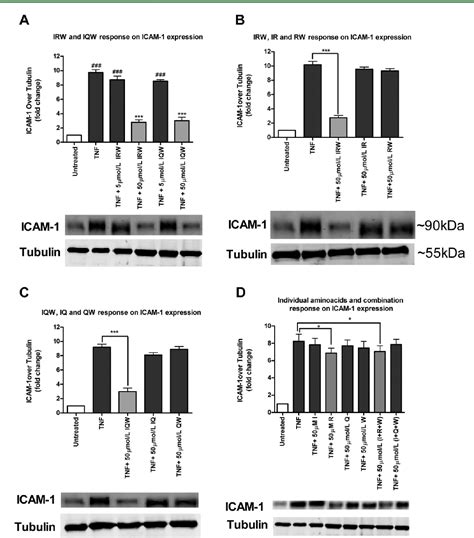 Figure From Structure And Activity Study Of Egg Protein