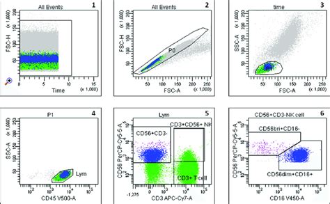 Gating Strategy Of The Two Major Subsets Cd Brightcd Dim And