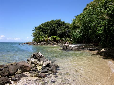 A Thousand Words Palolo Deep Marine Reserve