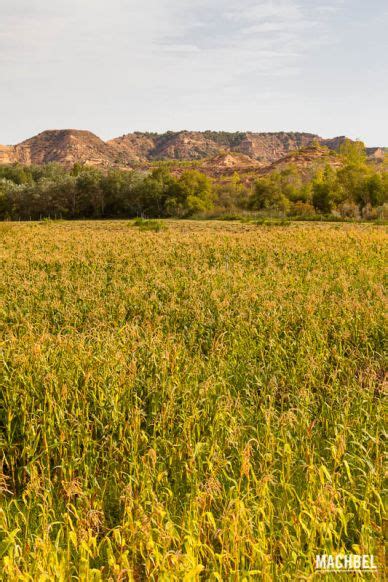 Los Monegros El Desierto Olvidado De Espa A Machbel