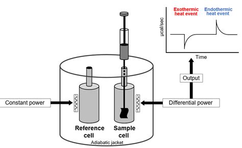 How Isothermal Titration Calorimetry Itc Measures