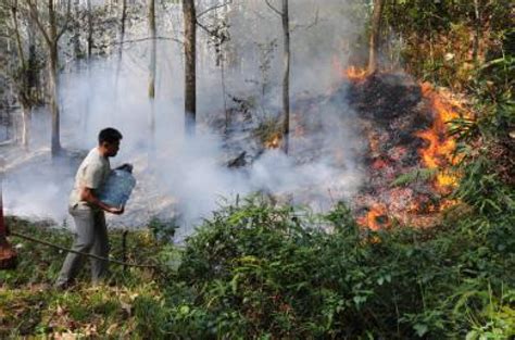 Buka Kebun Dengan Cara Membakar Terancam 10 Tahun Penjara