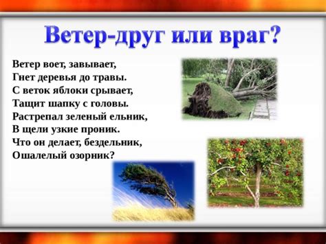 Презентация на тему " Движение воздуха"