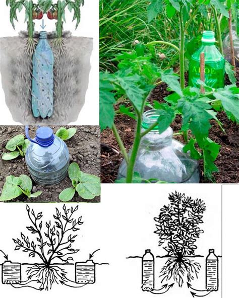 Comment Fabriquer Un Abreuvoir à Légumes Automatique à L aide D une