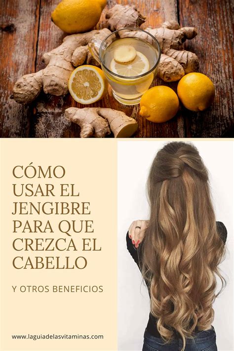 Tratamiento De Jengibre Y Sabila Para El Cabello