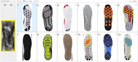 The Evolution And Application Of Shoeprint Evidence