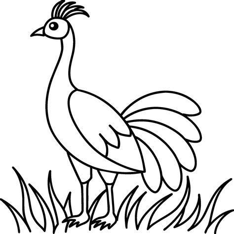 Peacock Bird Coloring Pages 43567700 Vector Art At Vecteezy