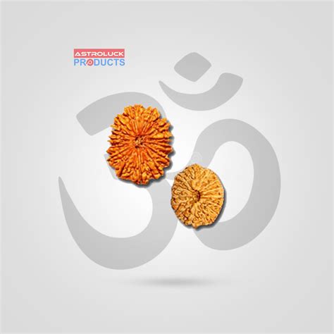 Buy Mukhi Rudraksha Mala Online In India Astro Luck Products