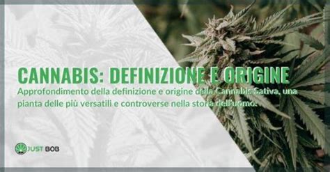 Linneo Cannabis Ecco L Origine Di Questa Variet Justbob