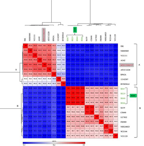 Heat Map Of Average Nucleotide Identity Ani Values Amongst Different