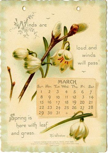 Solve Calendar Month March Snow Drops Pussy Willow 12 48 Pieces Jigsaw Puzzle Online