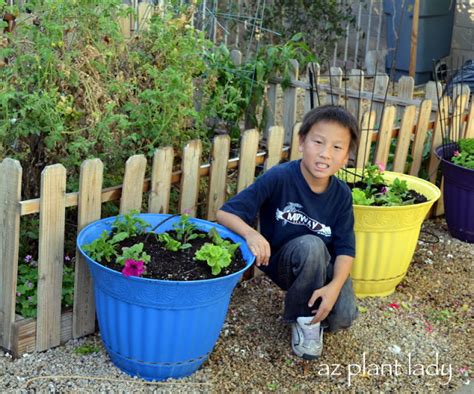 Grow Vegetables in Pots!