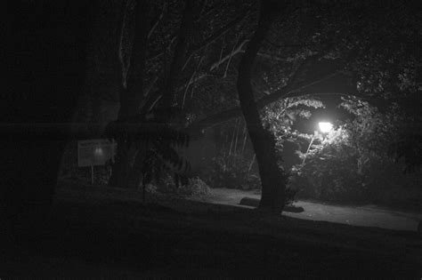 In The Still Of The Night On Behance