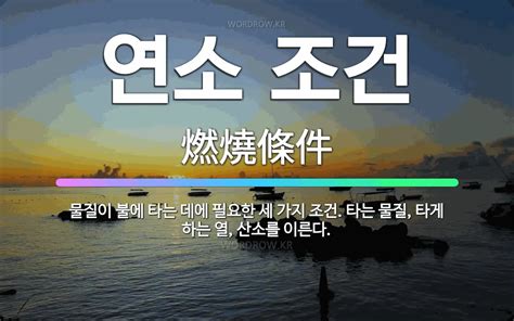 🌟연소 조건 물질이 불에 타는 데에 필요한 세 가지 조건 타는 물질 타게 하는 열 산소를 이른다 표준국어대사전