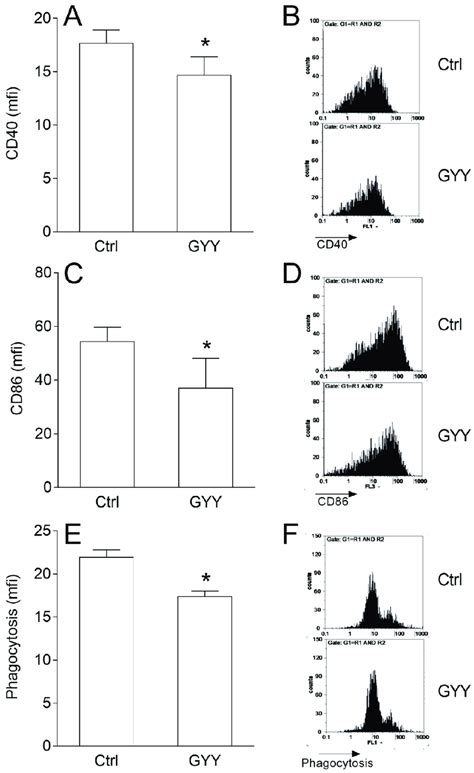 Effects Of Gyy4137 Gyy On Phenotype And Phagocytosis In Bv2 Cells