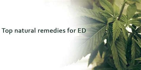 Top Natural Remedies For Ed Lessconf