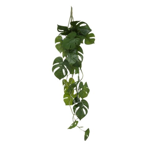 Sztuczna Roślina Monstera Wisząca 85 Cm 81489 Sklep Brw