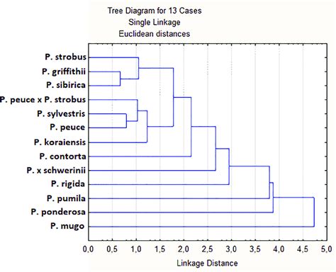 Dendrogram based on the component composition of essential oils ...