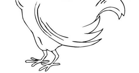 Stories Tales Henny Penny Coloring Pages Cartoon Characters