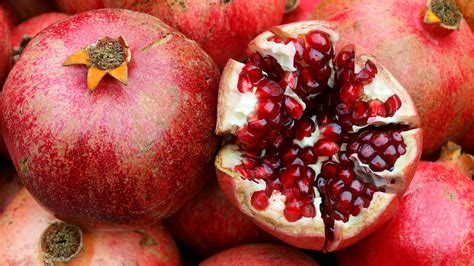 Rosh Hashanah Customs My Jewish Learning