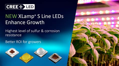 Xlamp S Line Horticulture Leds Cree Led