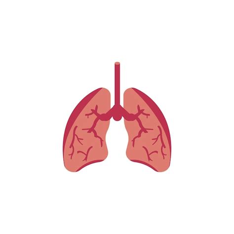 Premium Vector Lungs Icon