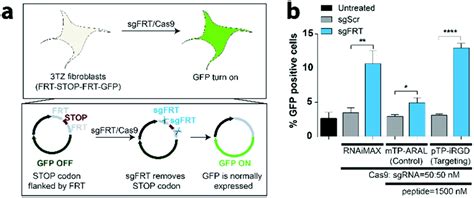 Gene Editing In Bacteria By Crispr Cas9 Via Spcas9sgrna 60 Off