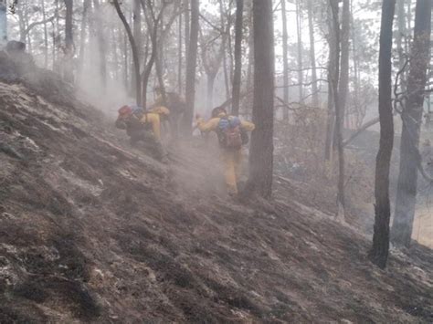 Controlan Incendio Forestal En Tapalpa Meganoticias