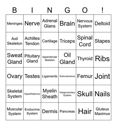 Introduction To Anatomy Physiology Bingo Card