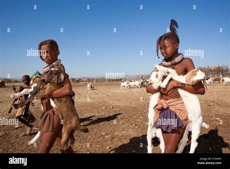 Himba tribe in Namibia Stock Photo - Alamy