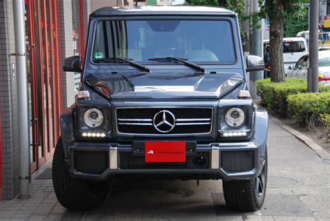 * LOVG * I Love Gelandewagen: G63 AMG / grey